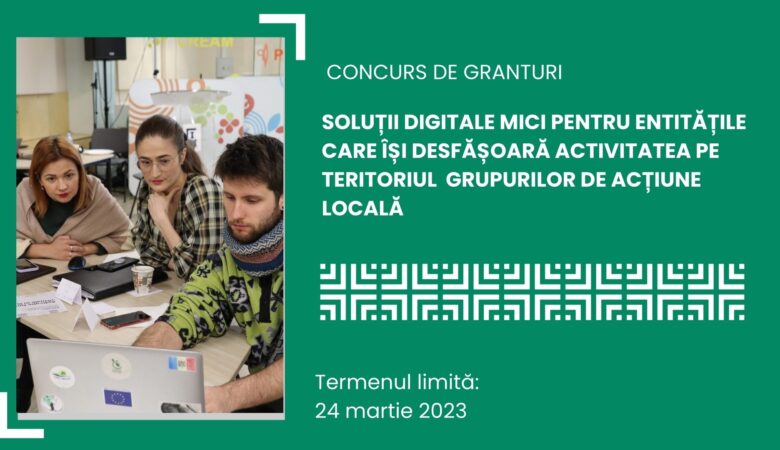 Soluții digitale mici pentru entități care își desfășoară activitatea în Grupurile de Acțiune Locală. Concurs de granturi